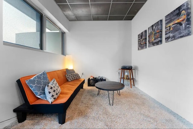 sitting room with carpet floors