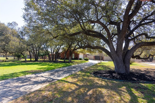 view of front facade with a front yard