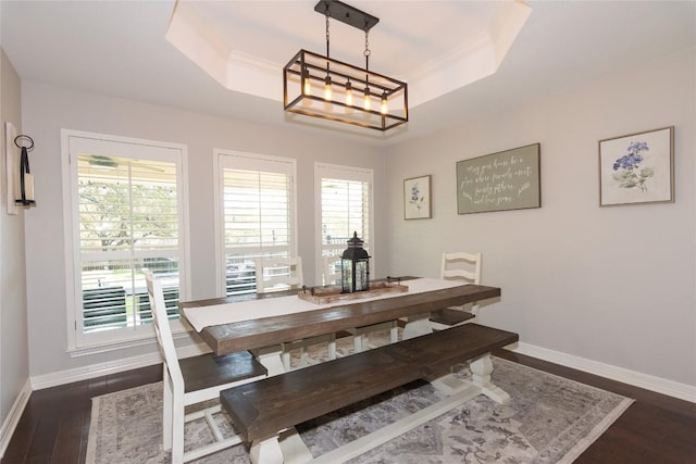 dining area with dark wood-style floors, a healthy amount of sunlight, and a raised ceiling