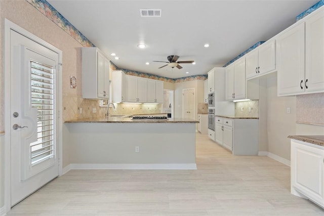 kitchen featuring a sink, visible vents, a wealth of natural light, and ceiling fan