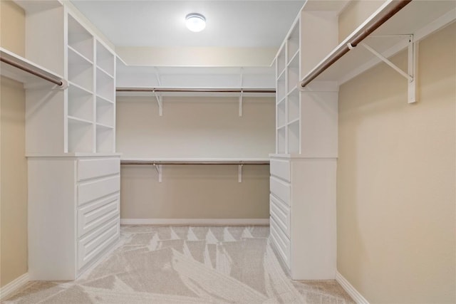 spacious closet featuring light carpet