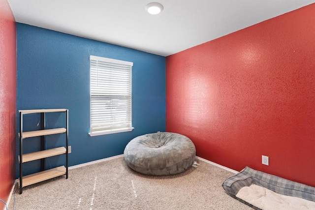 miscellaneous room featuring baseboards and carpet floors