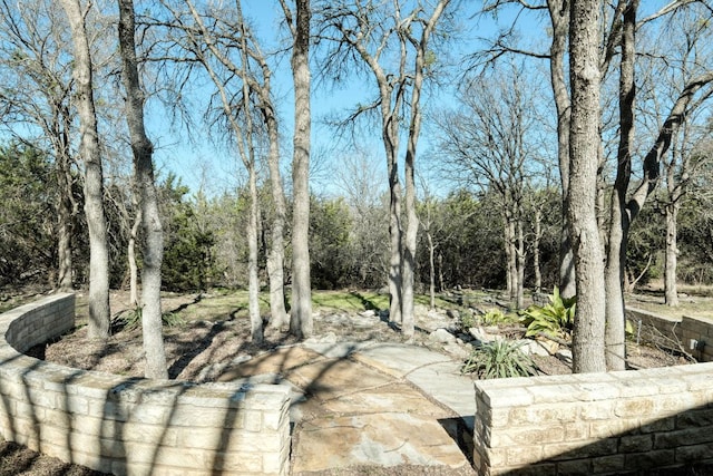 113 Yaupon Ln, Georgetown, TX 78633 - view of nature