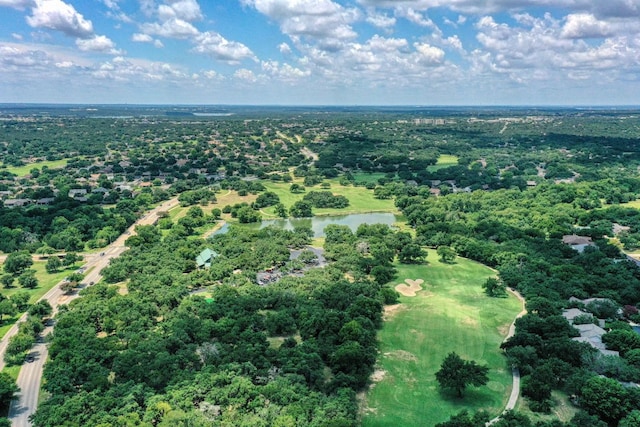 113 Yaupon Ln, Georgetown, TX 78633 - bird's eye view of a large body of water and a golf club