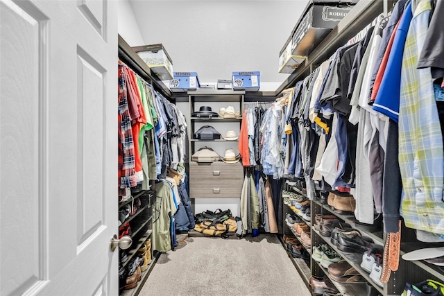 spacious closet featuring carpet