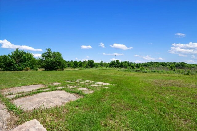 8808 Cele Rd, Manor, TX 78653 - view of yard