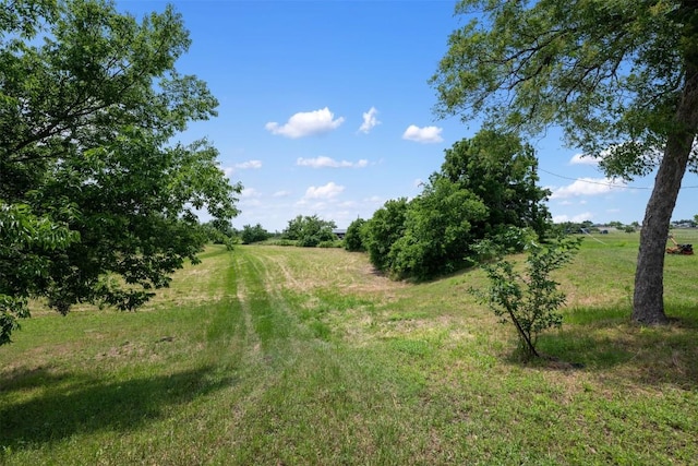 view of nature with a rural view