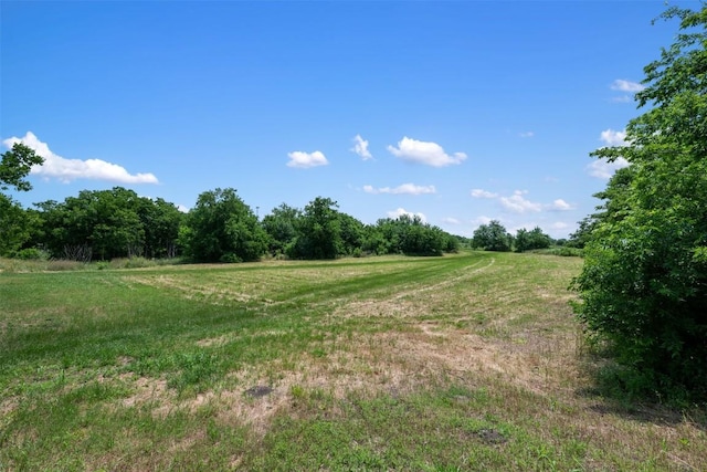 view of yard with a rural view