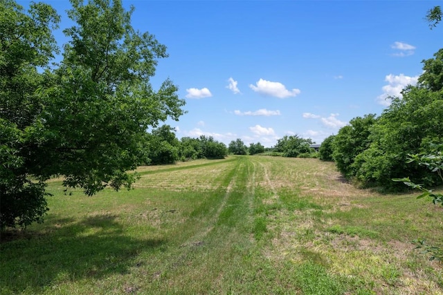 8808 Cele Rd, Manor, TX 78653 - view of nature