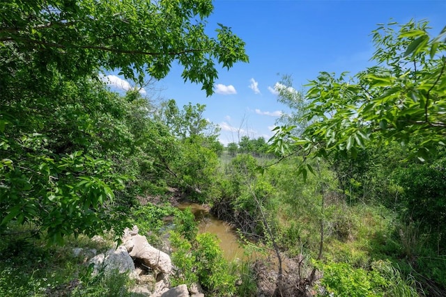 view of landscape with a wooded view