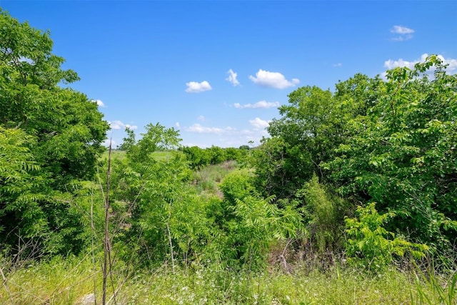 view of local wilderness with a view of trees