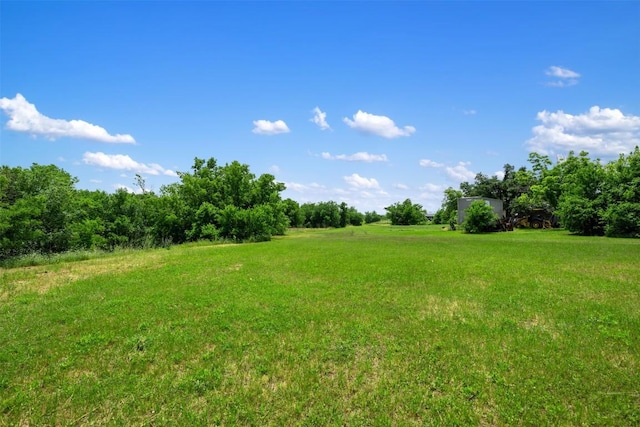 8808 Cele Rd, Manor, TX 78653 - view of grassy yard
