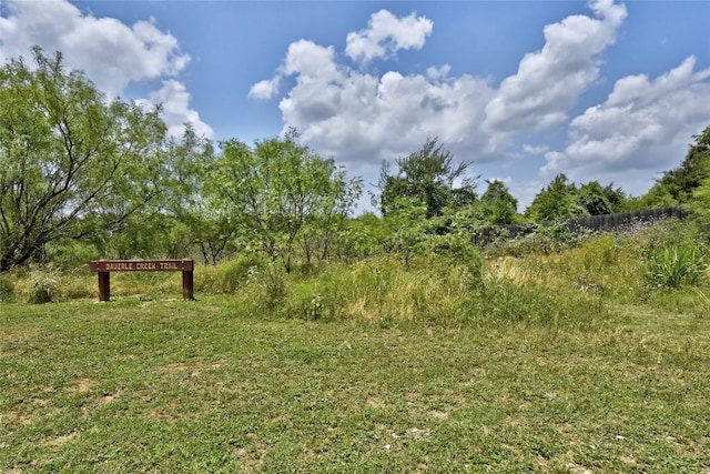 view of local wilderness