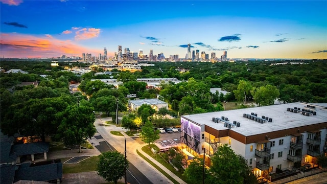 2505 Thornton Rd Unit 1105, Austin, TX 78704 - aerial view at dusk of a view of skyline