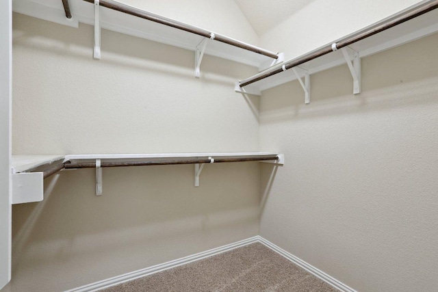 walk in closet with carpet and vaulted ceiling