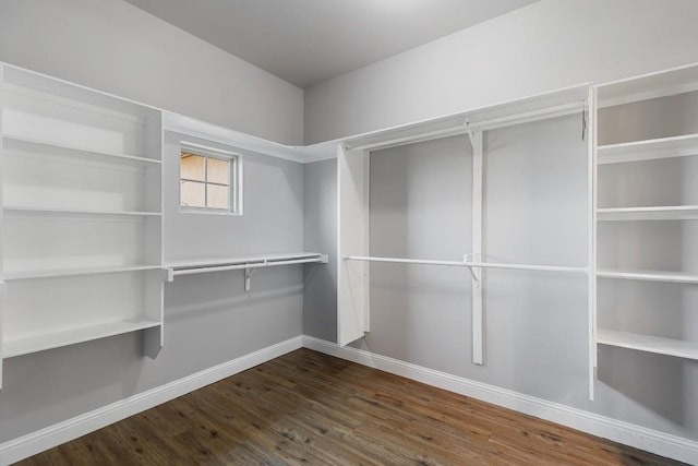 walk in closet with dark wood-style floors