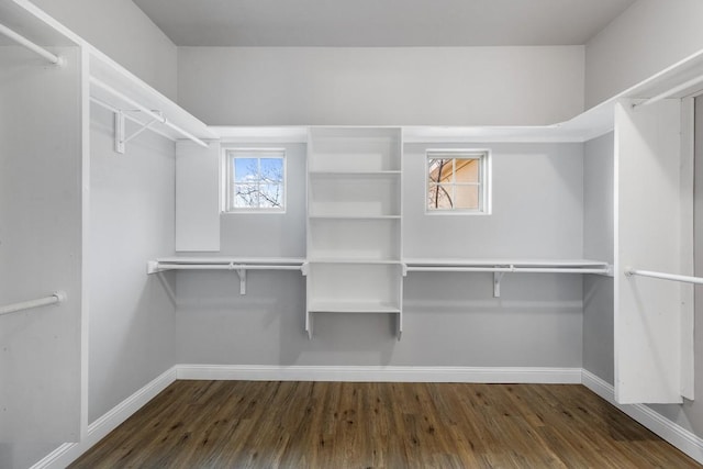 walk in closet with wood finished floors