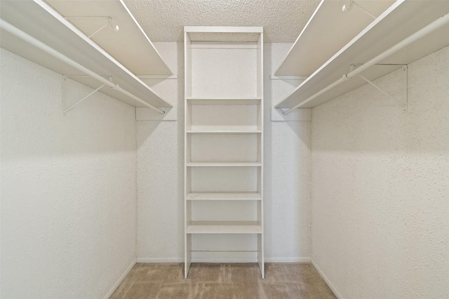 walk in closet featuring carpet floors