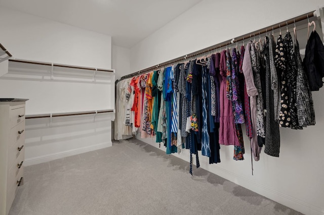 walk in closet with carpet