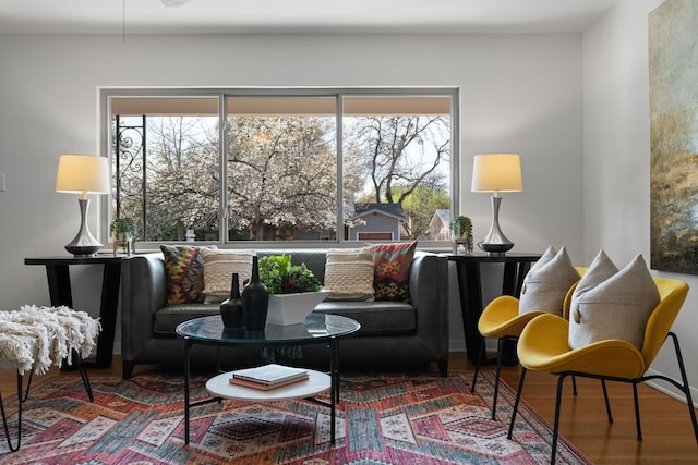 living area with wood finished floors