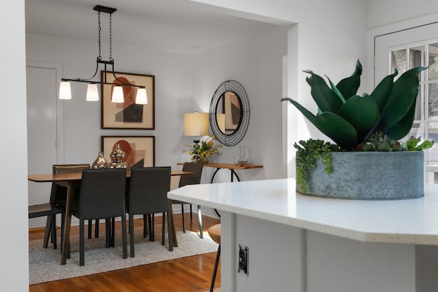 dining room featuring dark wood-style flooring