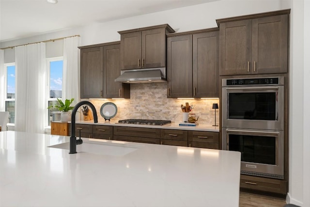 kitchen featuring under cabinet range hood, a sink, dark brown cabinetry, appliances with stainless steel finishes, and decorative backsplash