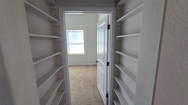 spacious closet with carpet floors