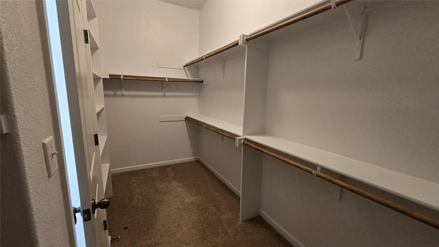 walk in closet featuring dark colored carpet