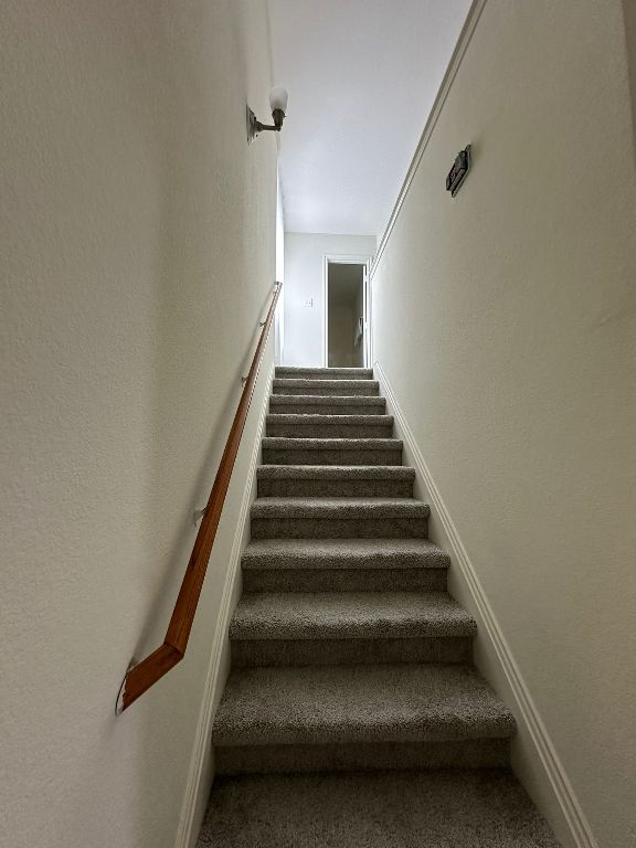 stairway with carpet floors