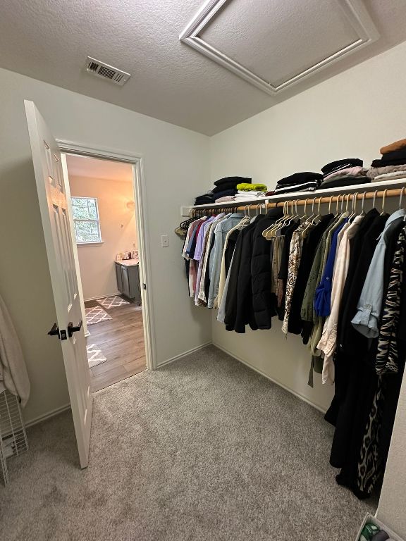 spacious closet with visible vents, attic access, and carpet floors