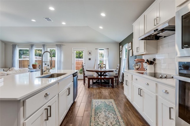 kitchen featuring visible vents, wood tiled floor, a sink, stainless steel appliances, and under cabinet range hood