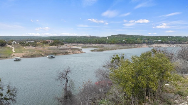 Listing photo 2 for 25208 Chernosky Point Cv, Spicewood TX 78669