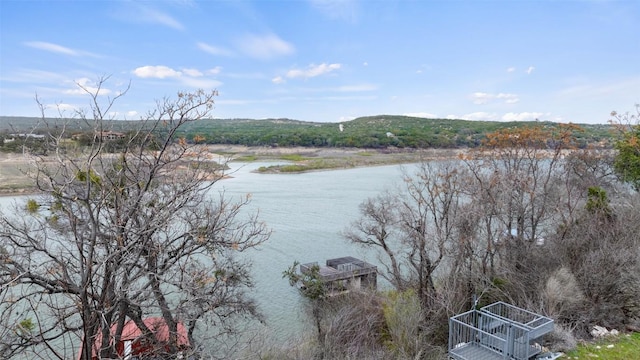 Listing photo 3 for 25208 Chernosky Point Cv, Spicewood TX 78669