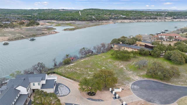 25208 Chernosky Point Cv, Spicewood, TX 78669 - photo 5