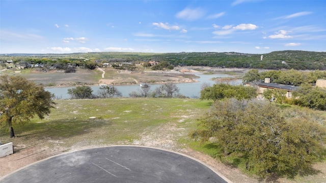 25208 Chernosky Point Cv, Spicewood, TX 78669 - photo 6