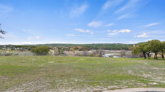 25208 Chernosky Point Cv, Spicewood, TX 78669 - photo 7
