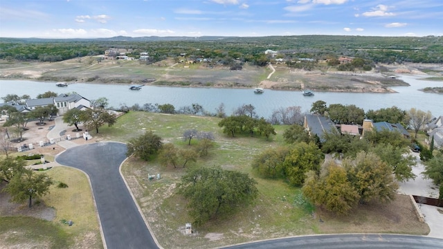 25208 Chernosky Point Cv, Spicewood, TX 78669 - photo 24