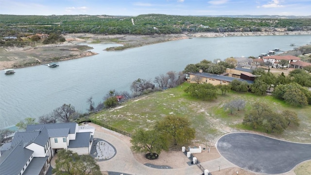 25208 Chernosky Point Cv, Spicewood, TX 78669 - photo 31