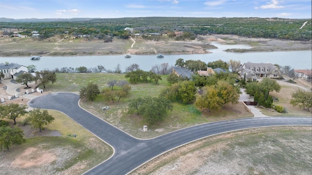25208 Chernosky Point Cv, Spicewood, TX 78669 - photo 32