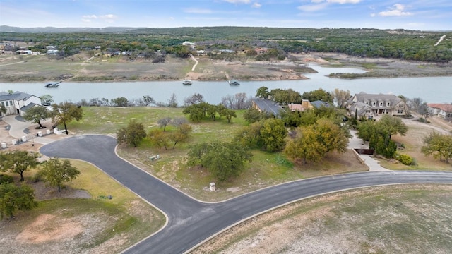 25208 Chernosky Point Cv, Spicewood, TX 78669 - photo 12