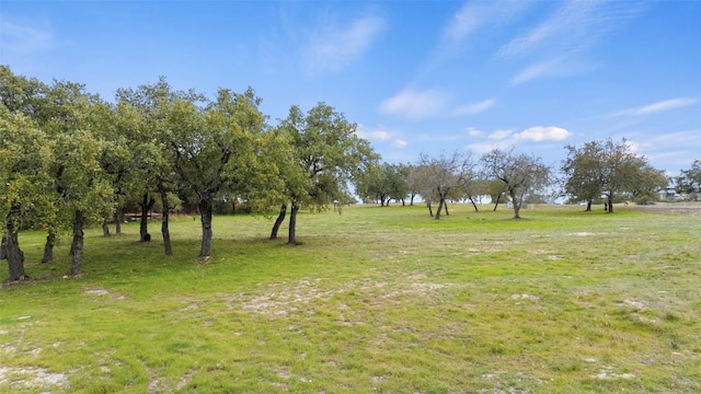 25208 Chernosky Point Cv, Spicewood, TX 78669 - photo 14