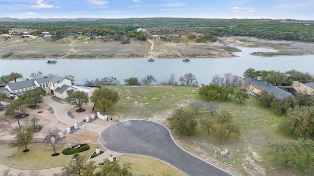25208 Chernosky Point Cv, Spicewood, TX 78669 - photo 20