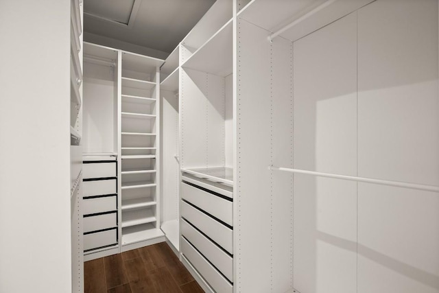 walk in closet featuring dark wood-style flooring