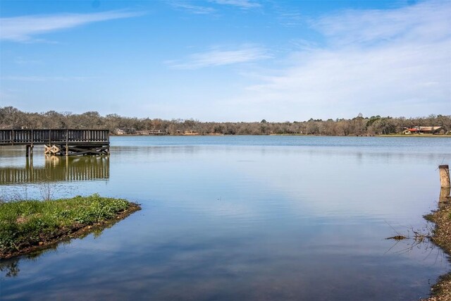 113 Eaglenest Ct, Smithville, TX 78957 - water view