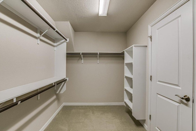 walk in closet featuring carpet