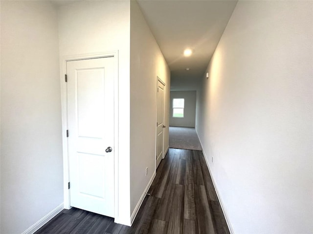 hall featuring baseboards and dark wood finished floors