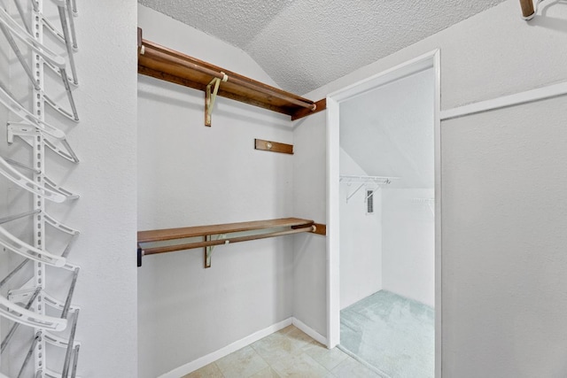 spacious closet with vaulted ceiling