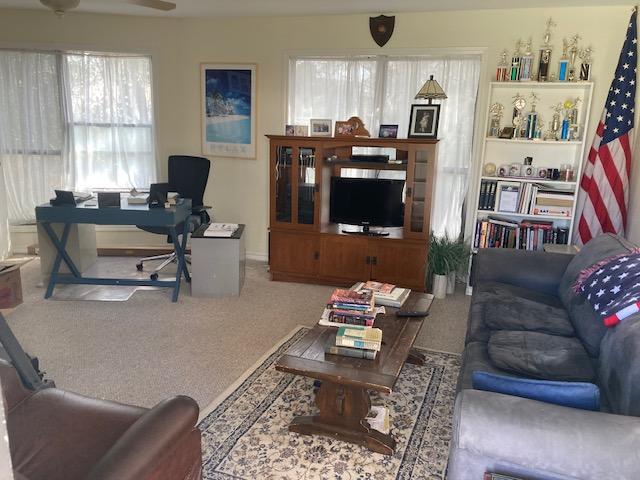 living room featuring carpet flooring and a ceiling fan