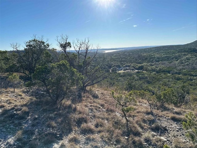 1220 Serenity, Fischer TX, 78623 land for sale