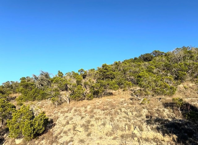 1220 Serenity, Fischer, TX 78623 - photo 2
